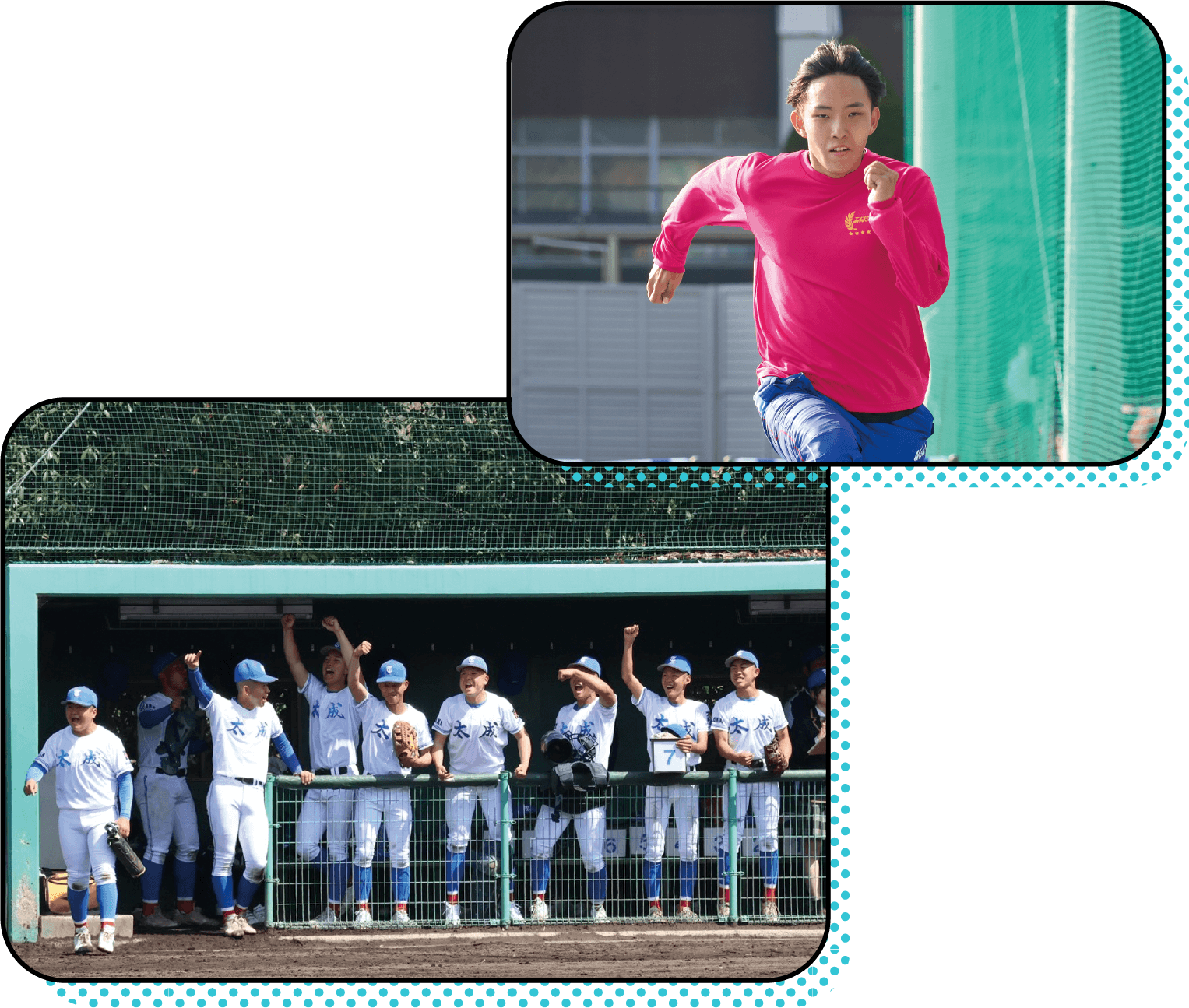 野球部写真