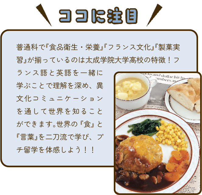 特徴詳細分