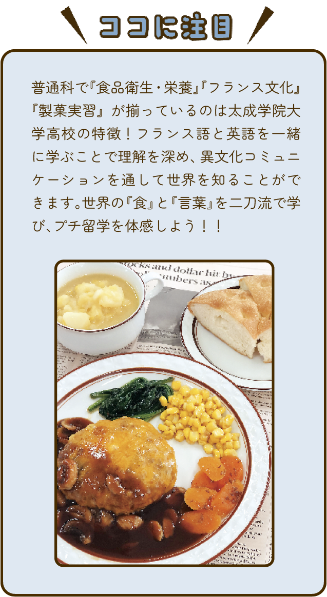特徴詳細分